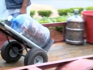 Man cashes in 45 year penny collection worth 5000