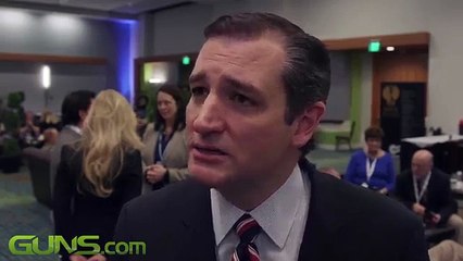 Ted Cruz The Constitution trumps public opinion