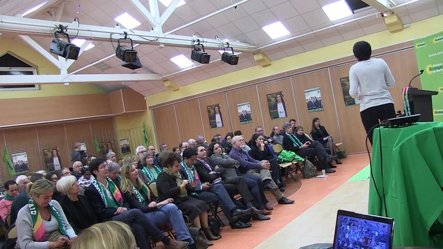Meeting EELV Les Mureaux Elections Régionales 2015