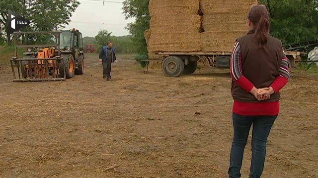 En Hongrie, l'énergie est aussi produite avec de la paille