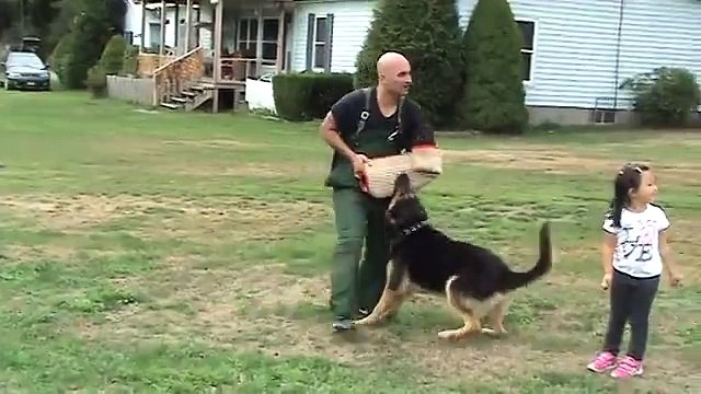 LATEST GERMAN SHEPHERD PROTECTING 4 YEAR OLD LITTLE GIRL FROM BAD GUY