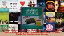 PDF Download  General Guide to Inshore Fishes of Tropical Australia Marine Fishes of Northwestern PDF Full Ebook