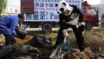 4 BIZARRE DRINKS MADE OUT OF POOP!!