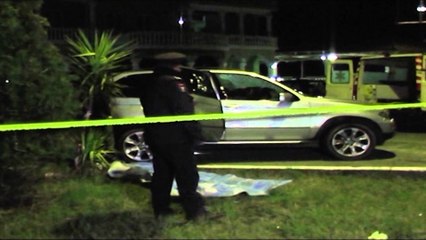 ZBARDHEN DETAJET E VRASJES NE KRYEBUSHAT