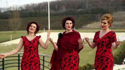 Motrat Bushi - Pesqind vjet dimer