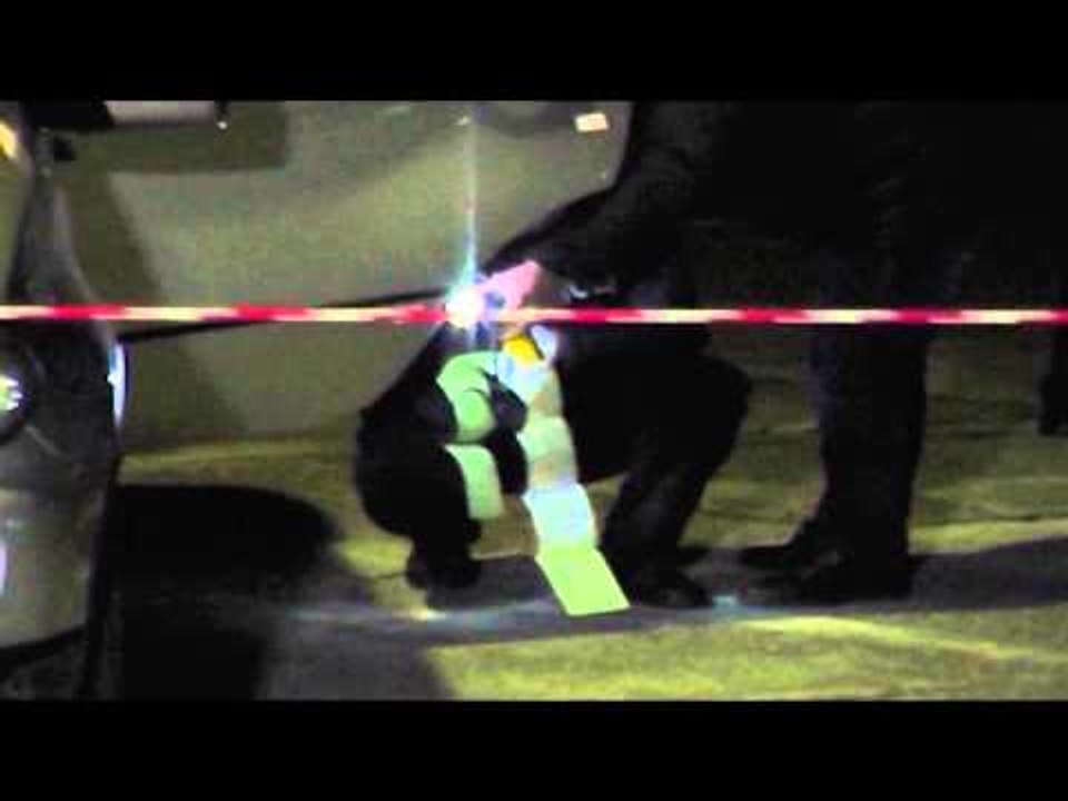 VETEDOREZOHET VRASESI I ELSA TUSHES