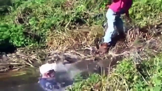 Una selección de chistes, fracasos y contratiempos! videos divertidos