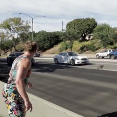 Helal olsun...Kediye dikkat!!