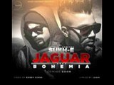 Jaguar feat Bohemia By Muzical Doctorz Sukh E