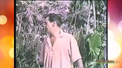 The Last Woman On Earth film Full Movie