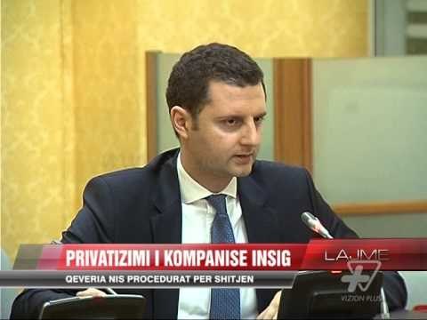 Komisioni i Ekonomisë për privatizimin e INSIG - News, Lajme - Vizion Plus