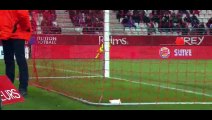 All Goals - Reims 2-2 Rennes - 28-11-2015