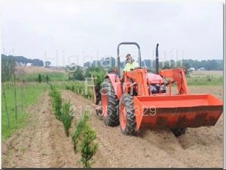 Our Acorn Seedling Growing Plan