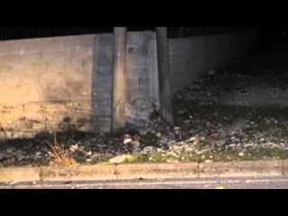 TRITOL SHTYLLES NE LAZARAT