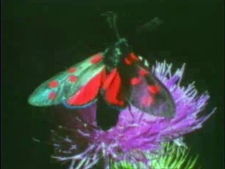 The fact of creation