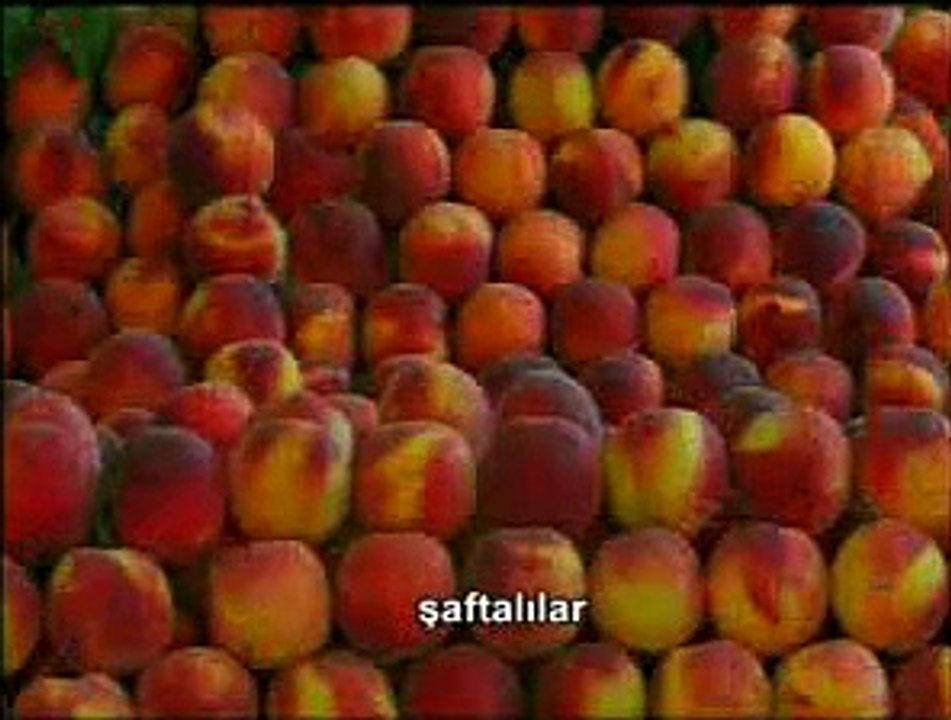 TƏBİƏTDƏKİ MÖHTƏŞƏM YARADILIŞ (Uşaqlar üçün)