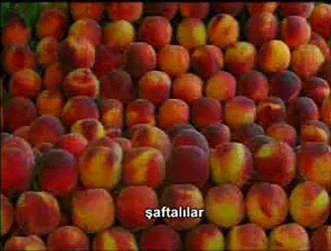 TƏBİƏTDƏKİ MÖHTƏŞƏM YARADILIŞ (Uşaqlar üçün)