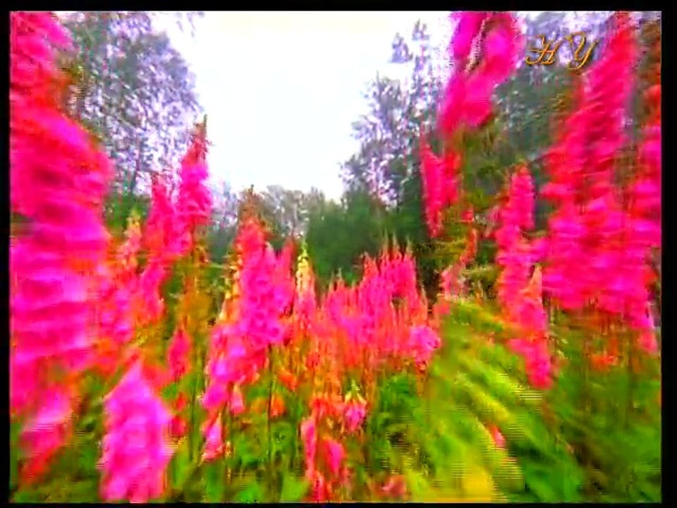 Maddenin ardındaki sır