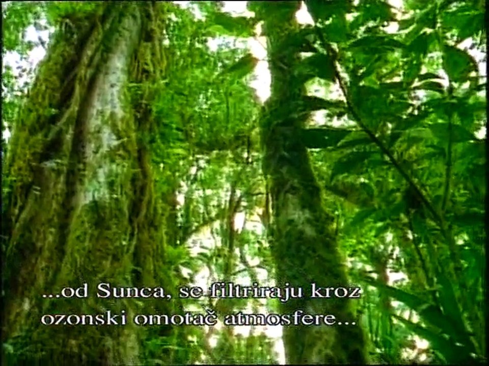 KURANSKE MUDZIZE