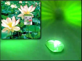 Biyomimetik teknoloji doğayı taklit ediyor