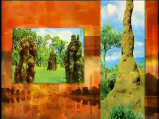 Architects in nature