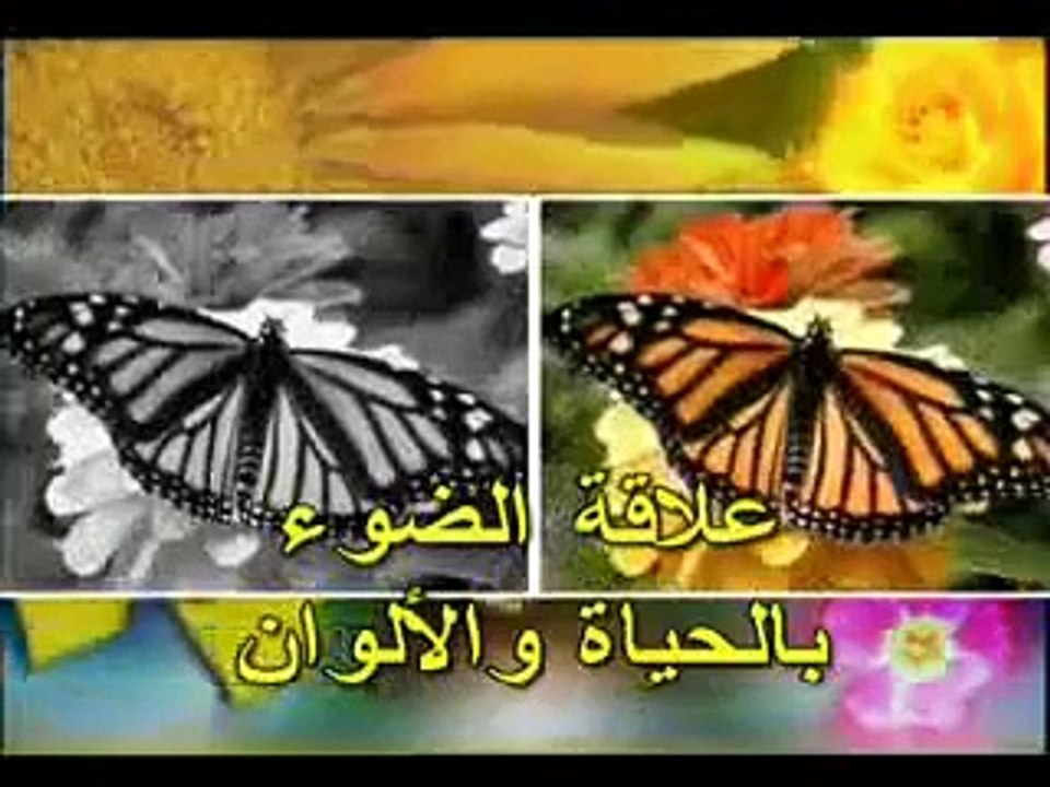 الإبداع الإلهي في الألوان