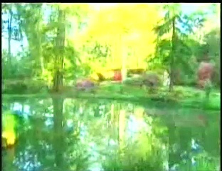 ALLAH DURCH VERNUNFT ERKENNEN