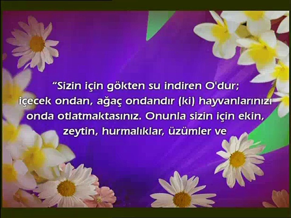 Allah'ın varlığının apaçık delillerini görebilmek