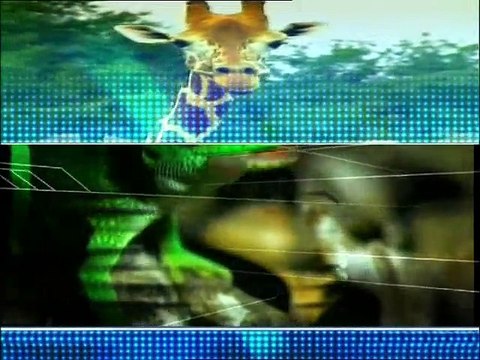 Doğadaki mühendislik