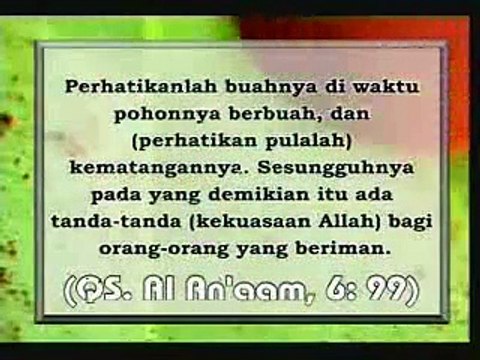 BIOMIMETIKA: TEKNOLOGI MENIRU ALAM