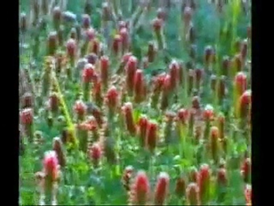 PËRGJIGJE NGA KURANI 1