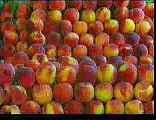 Мир животных 1-3 Наши маленькие друзья