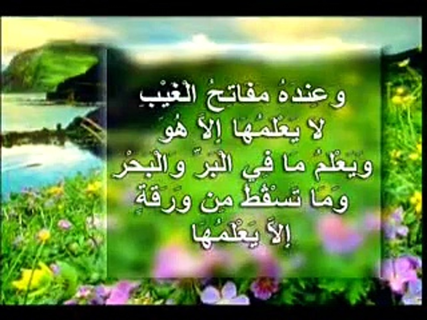 ⁣النعم المحيطة بنا (أفلام للأطفال 9)