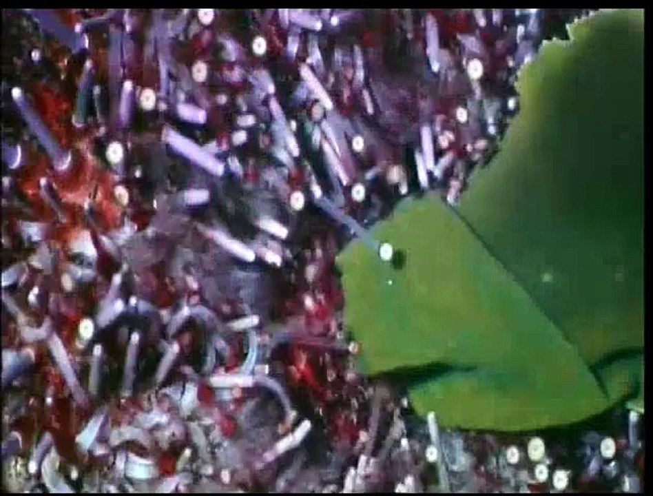 Secrets of the deep