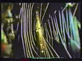 MISTERI KEHIDUPAN SATWA 2