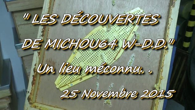 LES DÉCOUVERTES DE MICHOU W-D.D. - 25 NOVEMBRE 2015 - LESCAR - LES RUCHES DU VILLAGE D'EMMAÜS.