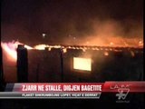 Lezhë, zjarr në stallë digjen bagëtitë - News, Lajme - Vizion Plus