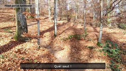 Le Zap de Spi0n n°289 Fr-fr