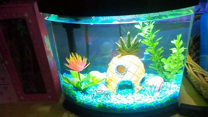 Crab Plays Peek-a-Boo