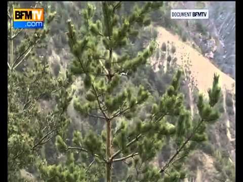 AVIONI I RREZUAR DYSHOHET SE KA PATUR PROBLEME TEKNIKE NJE DITE ME PARE LAJM