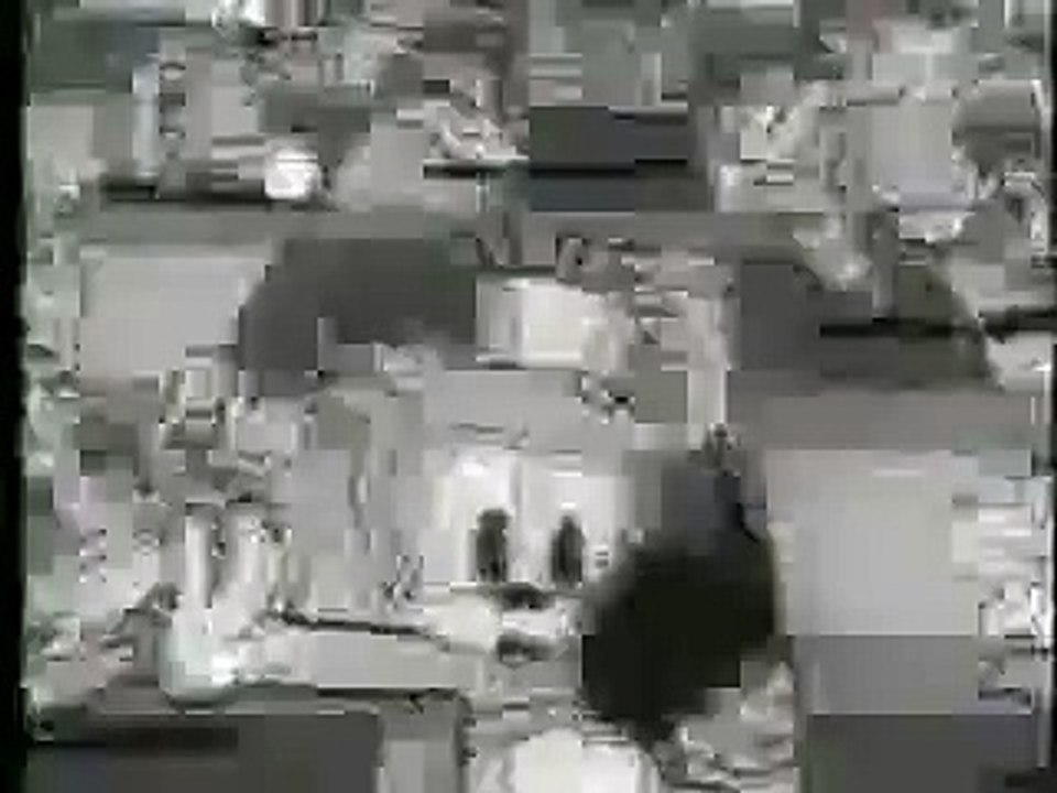 betty boop ches nuts