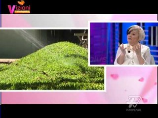 Vizioni i pasdites - Si t`i rikthejmë gjelbërimin ballkoneve - 25 Mars 2015 - Show - Vizion Plus