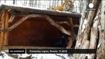 An unlikely friendship