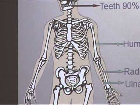 RIKTHEHET SHPRESA PER GJETJEN E ESHTRAVE TE PERSONAVE TE PUSHKATUAR NE KOMUNIZEM LAJM