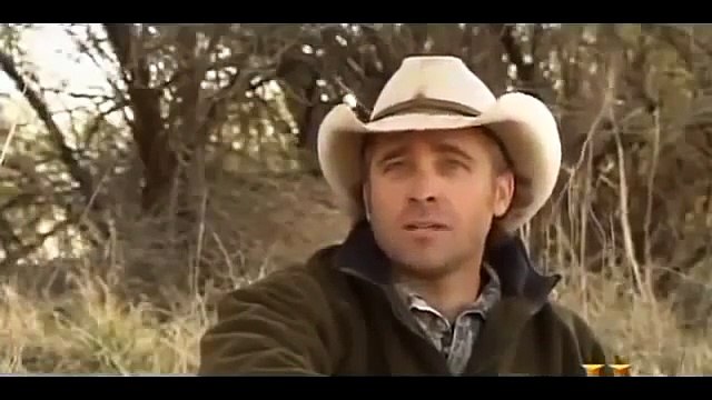 Giant Wild Pigs Nature on Georgias Giant Wild Hogs Full Documentary 2015