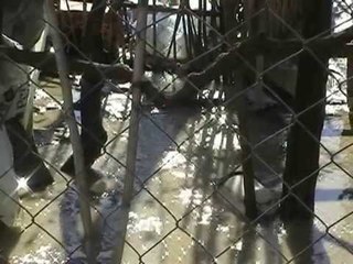 NIS VERIFIKIMI I DEMEVE NE MARINEZ TE FIERIT, HETOHET PER DEFEKT TEKNIK E SULM TERRORIST LAJM