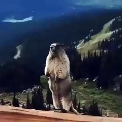 Vizelerden Çıkınca Ben