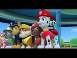 Paw Patrol Espanol Games Birthday Christmas 2015, Paw Patrol Episodes Eggs Cake Names Full_1