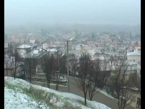 DEBORA DHE NGRICAT DEMTOJNE KULTURAT BUJQESORE NE KORÇE,MALIQ DHE POGRADEC LAJM