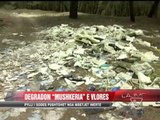 Pylli i Sodës pushtohet nga mbetjet inerte - News, Lajme - Vizion Plus